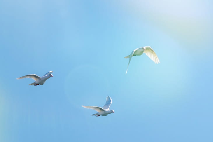 BETHELIGHTについての画像